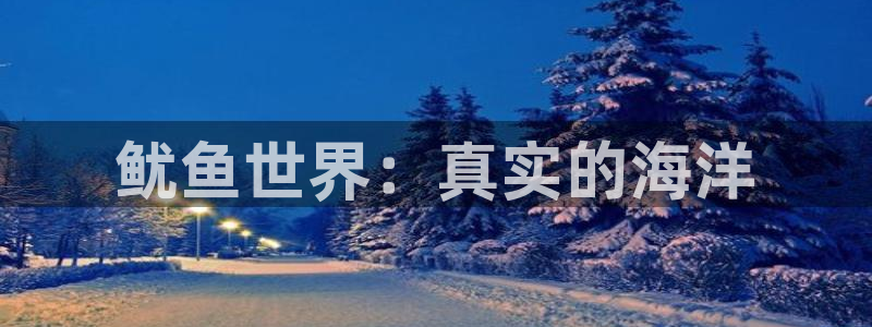 蓝冠娱乐网页登录入口下载：鱿鱼世界：真实的海洋