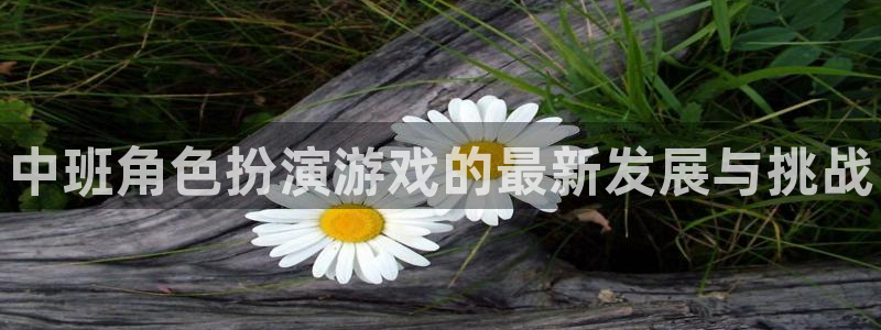 蓝冠娱乐平台：中班角色扮演游戏的最新发展与挑战