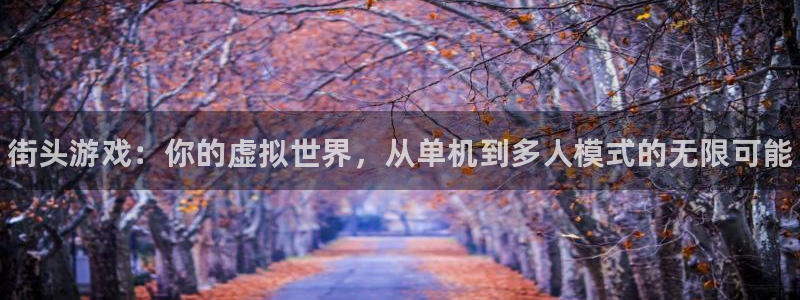 蓝冠娱乐开户测速：街头游戏：你的虚拟世界，从单机到多人模式的