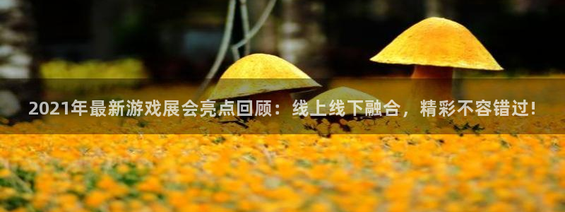 蓝冠娱乐官网：2021年最新游戏展会亮点回顾：线上线下融合，