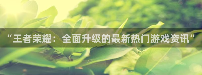 蓝冠娱乐登录网址：“王者荣耀：全面升级的最新热门游戏资讯”