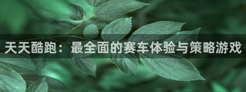 蓝冠娱乐2首页登录：天天酷跑：最全面的赛车体验与策略游戏