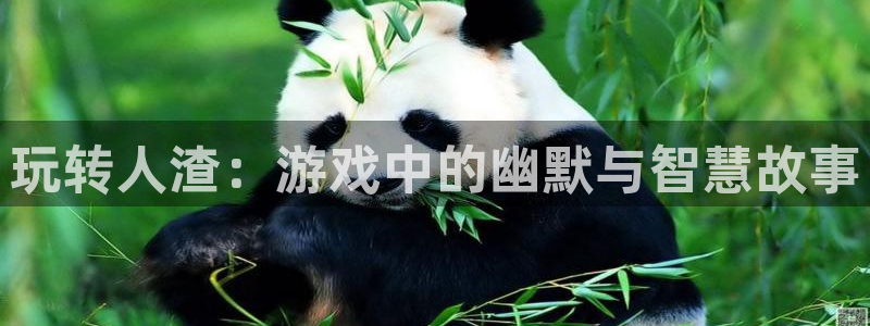 蓝冠娱乐注册开户：玩转人渣：游戏中的幽默与智慧故事