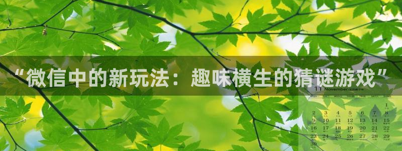 蓝冠娱乐官网登录：“微信中的新玩法：趣味横生的猜谜游戏”
