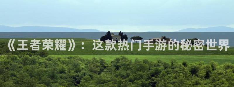 蓝冠娱乐平台：《王者荣耀》：这款热门手游的秘密世界