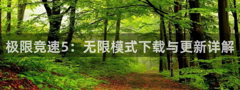 蓝冠娱乐升级5994月：极限竞速5：无限模式下载与更新详解