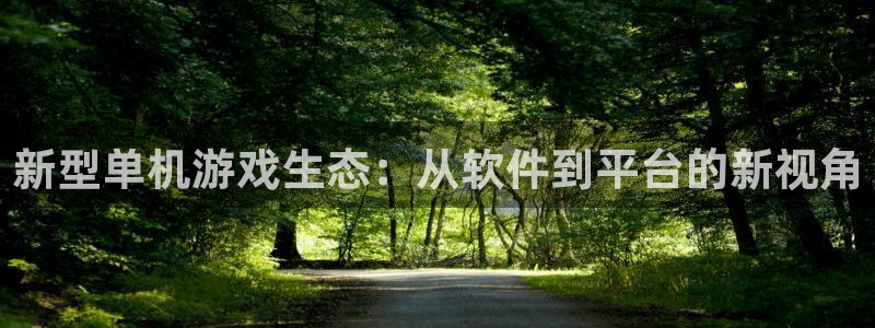 蓝冠娱乐平台注册资金多少：新型单机游戏生态：从软件到平台的新