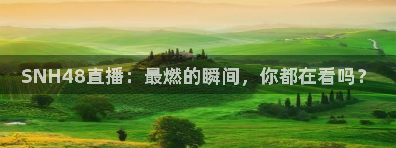 新闻图片